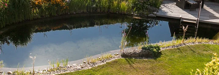 Schwimmteich im Garten